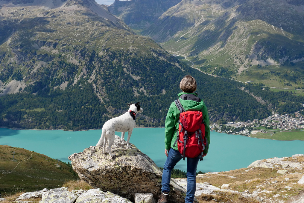 Eine Frau mit ihrem Hund auf den Alpen