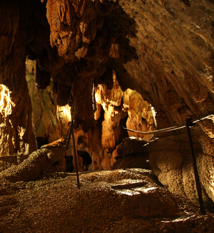 Visita guidata alla grotta dell'Hölloch