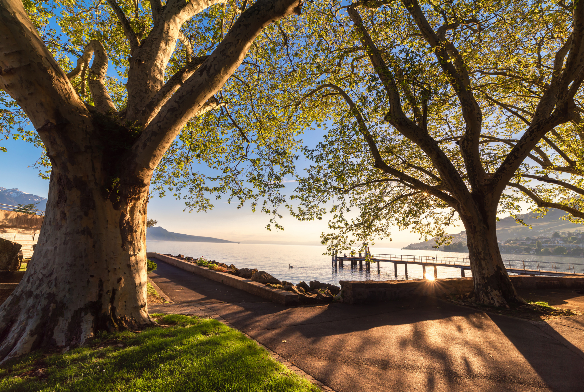 Vevey