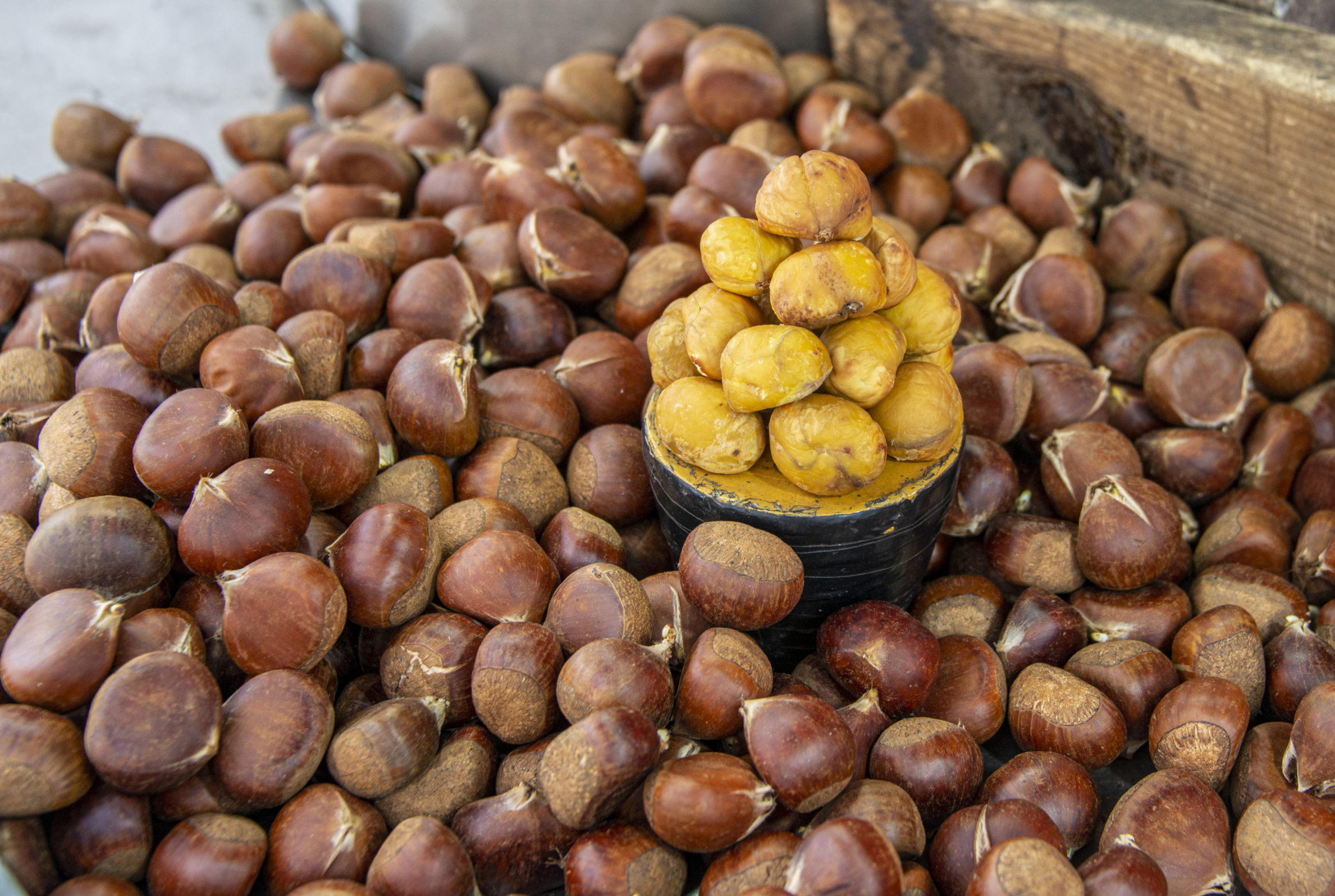 Marroni