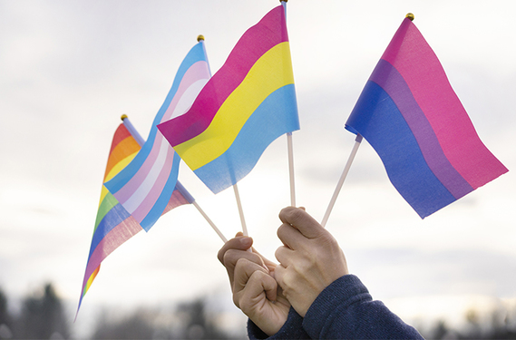 diverse Prideflaggen